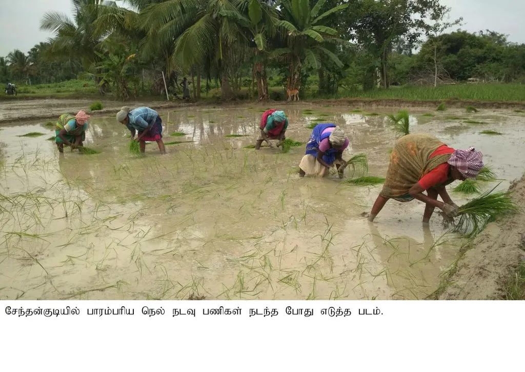 agri 